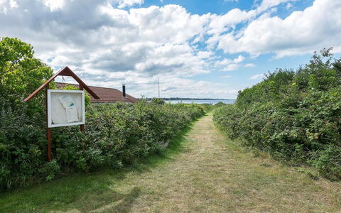 Filisha - 200M from the Sea: Busk, Landdistrikt, Bunddække, Plantation, Have, Mark, Hæk, Farm, Sti, Landbrug