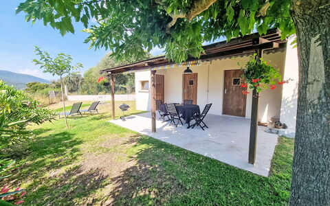 Calcatoggio 600: Landdistrikt, Sommerhus, Lawn, Skygge, Have, Stuehus, Gård, Backyard, Landscaping