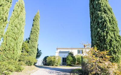 Scansano 618