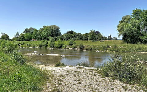 Ammerside: Vandressourcer, Vand, Træ, Naturligt Miljø, Naturlige Landskab, Vandløb, Vegetationen, Bank