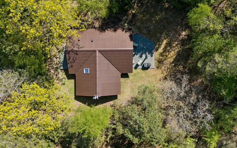 Elfrede - 900M from the Sea: 