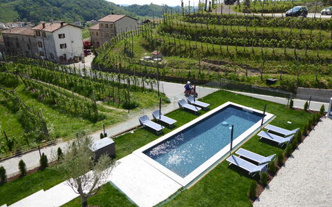 Villa Valdobbiadene Pool Spa: Urban Design, Have, Gård, Svømmepøl, Landscaping, Landbrug, Plantation, Fugleperspektiv, Backyard, Villa