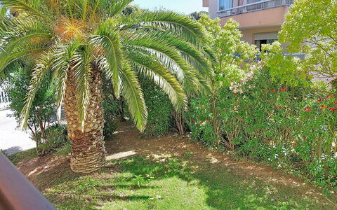L'Iris: Have, Vedplante, Landscaping, Gård, Botanisk Have, Backyard