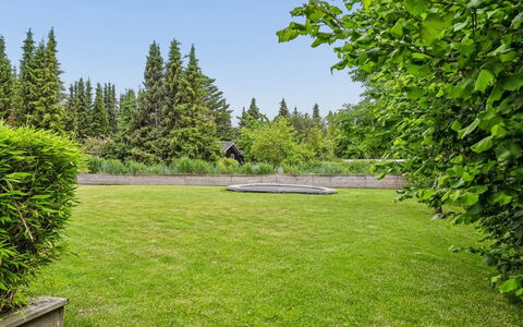 Galatia - 1.4Km from the Sea: Træ, Græs, Grøn, Busk, Have, Landskab, Land Lot, Lawn, Bunddække