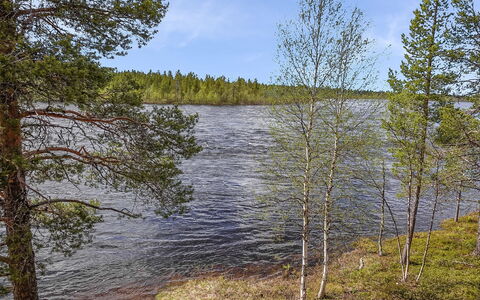 Luongasloma 2: Træ, Sommerhus, Bjælkehytte, Skov, Skur, Garden Bygninger, Lærk, Woodland, Bejdse