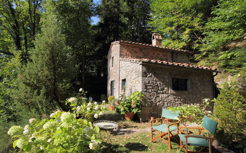 Il Gallinaio, Vivo D'Orcia: Busk, Hus, Sommerhus, Hjem, Forår, Bunddække, Have, Landscaping, Stuehus