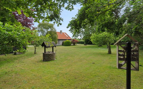 Siegfried - 100M from the Sea: Græs, Græs-, Land Lot, Sommerhus, Landdistrikt, Eng, Garden Bygninger, Have, Skur