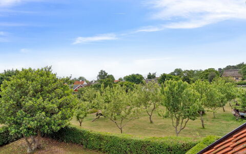 Siegfried - 100M from the Sea: Græs, Græs-, Land Lot, Sommerhus, Landdistrikt, Eng, Garden Bygninger, Have, Skur
