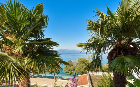 Lui: Blå, Træ, Blad, Vegetationen, Tropics, Skygge, Kyst, Eco Hotel