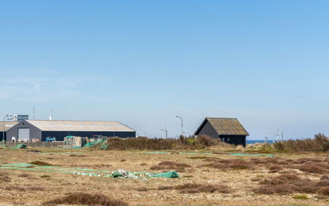 Edy - 75M from the Sea: Himmel, Græs, Økoregion, Græs-, Almindeligt, Land Lot, Landdistrikt, Plantesamfund, Prærie, Steppe