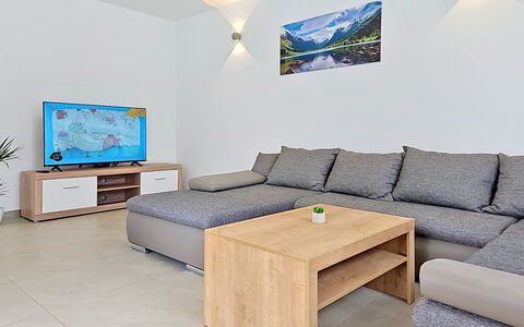 Nature: Møbel, Gulvbelægning, Indretning, Etage, Couch, Træ, Stue, Værelse, Loft