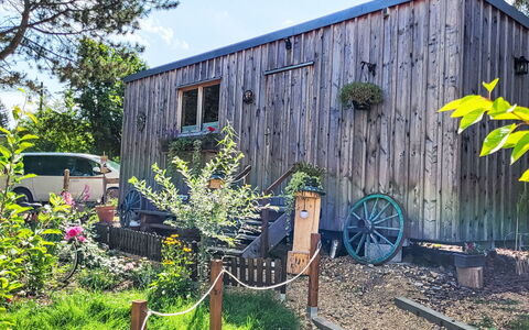 Tiny House Cottage Herbert: Træ, Sommerhus, Skur, Garden Bygninger, Dør, Sidespor, Hårdttræ, Bejdse, Bjælkehytte, Have