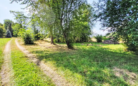 Tiny House Cottage Herbert: Grøn, Græs, Blad, Træ, Vegetationen, Naturlige Landskab, Sommer, Busk, Græs-, Almindeligt