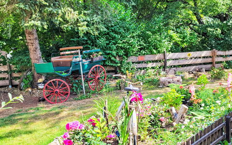 Tiny House Cottage Herbert: Blomst, Have, Busk, Forår, Bunddække, Backyard, Landscaping, Gård, Blomsterhandlere