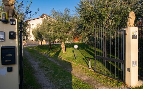 Tre Fontane: Have, Port, Hegn, Gård, Lawn, Home Fencing, Backyard, Landscaping
