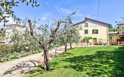 Tre Fontane: Have, Forår, Lawn, Skygge, Backyard, Gård, Landscaping, Parkere, Hegn, Home Fencing
