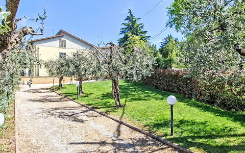 Tre Fontane: Busk, Have, Forår, Skygge, Indkørsel, Walkway, Lawn, Landscaping, Gård, Backyard
