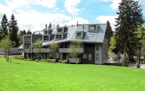 Harrachov Resident a: Hjem, Boligområde, Hus, Sommerhus, Estate, Forstad, Gård, Sidespor, Landscaping