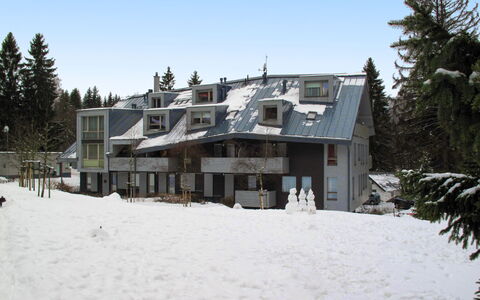 Harrachov Resident a: Hjem, Vinter, Fryser, Sne