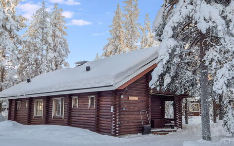 Levin Ainola: Sne, Træ, Afdeling, Vinter, Sommerhus, Tag, Hus, Hjem, Fryser, Bjælkehytte