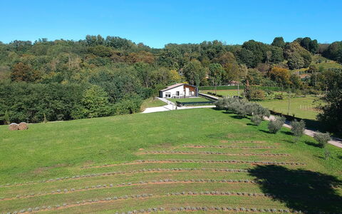 Villa Dolce Bosco with Pool, Valdobbiadene: Træ, Græs, Almindeligt, Landskab, Græs-, Busk, Landdistrikt, Land Lot, Bunddække