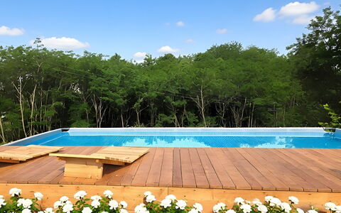 Villa Dolce Bosco with Pool, Valdobbiadene: Træ, Svømmepøl, Skygge, Have, Eco Hotel, Hårdttræ, Fritid, Landscaping, Bejdse, Dæk