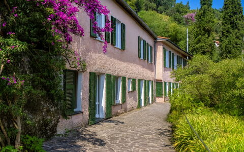 Portofino: Busk, Forår, Have, Walkway
