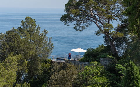 Portofino: Træ, Blad, Vegetationen, Coastal Og Oceaniske Landskabsformer, Kyst, Skygge, Ferie, Udendørs Møbler, Tropics