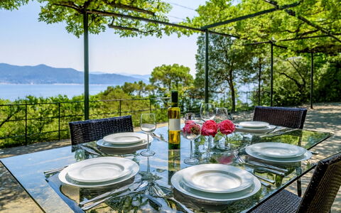 Portofino: Møbel, Bord, Stol, Køkken & Spisebord, Udendørs Bord, Restaurant, Udendørs Møbler, Skygge, Udvej, Have