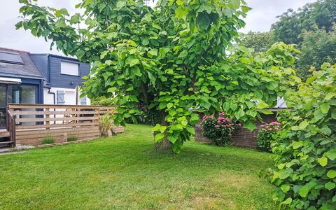Maison de Kergoff: Blad, Vedplante, Have, Lawn, Backyard, Gård, Skygge, Landscaping