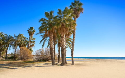Pompeyo i: Blå, Strand, Sommer, Landskab, Sand, Kyst, Bagagerum, Hav, Coastal Og Oceaniske Landskabsformer, Tropics