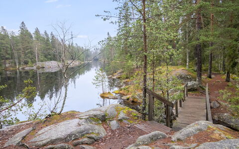 Korpilammenhuvilat 7B: Træ, Natur, Skov, Bank, Ødemark, Bredzonens, Woodland, Tarn