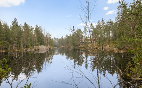 Korpilammenhuvilat 7B: Vand, Vandressourcer, Natur, Træ, Naturligt Miljø, Naturlige Landskab, Afspejling, Skov, Ødemark, Bank