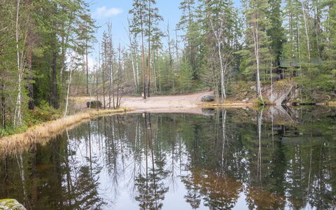 Korpilammenhuvilat 7A: Vandressourcer, Vand, Krop Af Vand, Træ, Natur, Naturligt Miljø, Naturlige Landskab, Bank, Skov
