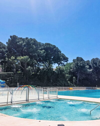 Palmier