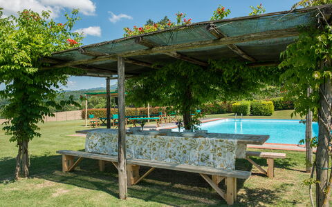 Martini: Skygge, Have, Udendørs Struktur, Pergola, Svømmepøl, Landscaping, Backyard, Eco Hotel, Gård, Udvej