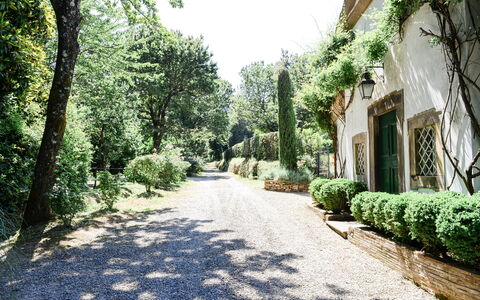 Fattoria: Busk, Have, Indkørsel, Landscaping, Skygge, Walkway, Botanisk Have, Hæk, Plantation, Sti