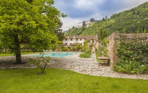 Jasmine Villa: Have, Svømmepøl, Hacienda, Udvej, Villa, Eco Hotel, Stuehus, Landscaping, Ferieby, Evergreen