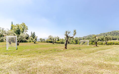 Chateau la Siroque: Træ, Græs, Græs-, Land Lot, Almindeligt, Eng, Forår, Lawn, Pasture