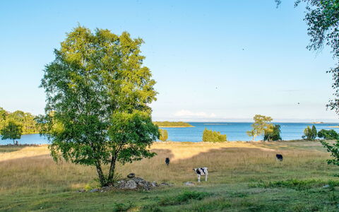 Ragnabo: Møbel, Skygge, Veranda, Stol, Udendørs Møbler, Udendørs Struktur, Eco Hotel, Altan, Pergola, Dæk