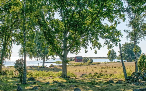 Ragnabo: Møbel, Skygge, Veranda, Stol, Udendørs Møbler, Udendørs Struktur, Eco Hotel, Altan, Pergola, Dæk