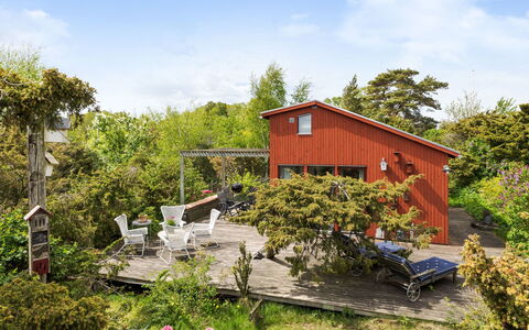 Ringenäs: Busk, Sommerhus, Hus, Land Lot, Hjem, Have, Landdistrikt, Bunddække, Forår