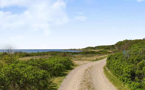 Ringenäs: Himmel, Blå, Grøn, Vegetationen, Horisont, Naturlige Landskab, Økoregion, Vej, Sommer, Græs-