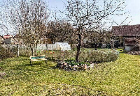 Mit Großem Garten: Busk, Have, Lawn, Backyard, Gård, Landscaping, Skygge, Jord, Parkere