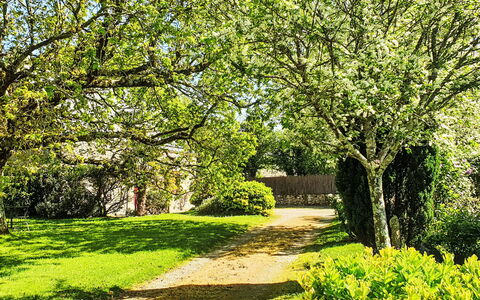 Maison Park Bihan: Busk, Have, Sommerhus, Skygge, Landscaping, Gård, Backyard, Villa, Stuehus, Stueplante