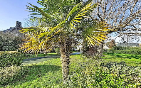 Maison Park Bihan: Busk, Have, Sommerhus, Skygge, Landscaping, Gård, Backyard, Villa, Stuehus, Stueplante