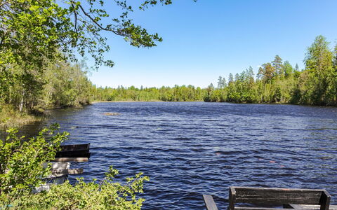 Piggsmåla: Vand, Vandressourcer, Træ, Natur, Naturligt Miljø, Vandløb, Sommer, Naturlige Landskab, Bank, Sø