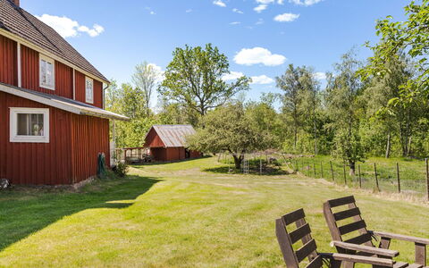 Piggsmåla: Græs, Træ, Landskab, Almindeligt, Græs-, Land Lot, Landdistrikt, Sommerhus, Hjem, Lawn