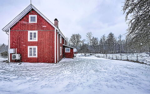 Piggsmåla: Busk, Have, Sommerhus, Skygge, Landscaping, Gård, Backyard, Villa, Stuehus, Stueplante