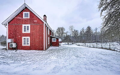Piggsmåla